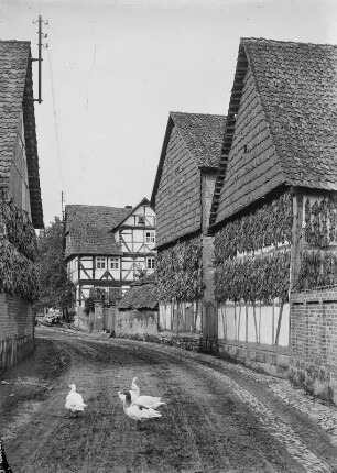 Dorf mit Fachwerkbauten im hessisch-thüringischem Übergangsstil und Tabaktrocknung, wohl in Großburschla, einem Stadtteil von Treffurt