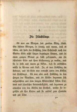 Erzherzog Johann und seine Zeit, 4,2. Erzherzog Johann als Reichsverweser ; 2