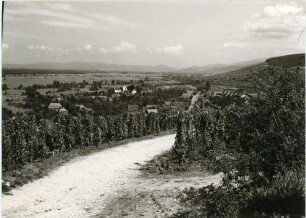 Wolfenweiler