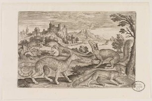 Füchse und Eichhörnchen aus (Animalium Qvaddrupedum)