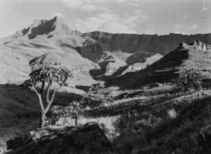 Die Drakensberge : Blick auf die nördlichen KwaZulu-Natal-Drakensberge