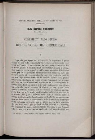 Contributo Allo Studio Delle Scissure Cerebrali