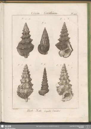 Pl. 442. Cérite. Cerithium