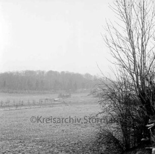 Travetal: Blick ins Travetal: vorn rechts Sträucher: im Hintergrund Kneeden