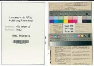 Entnazifizierung Theodora Mies , geb. 20.03.1914 (Lehrerin)