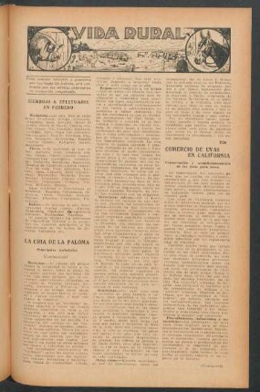 Comercio de uvas en California