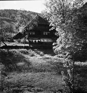 Frühling im Schwarzwald