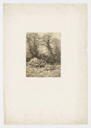 Landschaft mit Bäumen