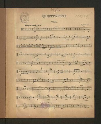 Viola.
