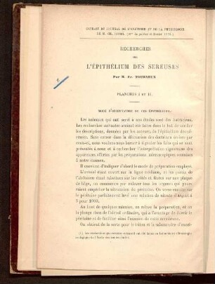 Recherches sur l'épithélium des sereuses