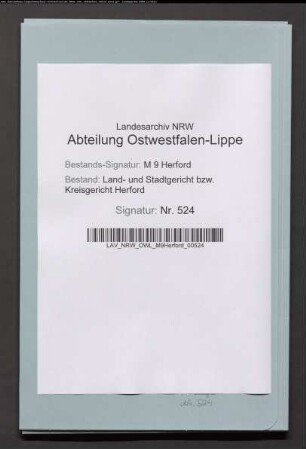Erblasser: Albsmeier, Ernst Heinrich, geb. Bracht; Erblasser: Albsmeier, Anna Maria Ilsabein, geb. Korfmacher: