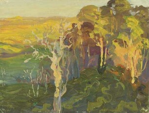 Blick von der Plantage Mkuse auf das Bondeiland : Abendsonnenschein