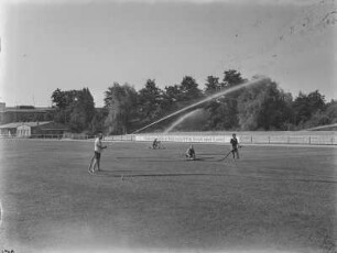Bautzen. Rasen des Stadion Müller-Wiese wird bewässert