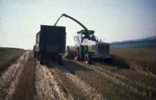 Fotografie: Ernteverfahren, Feldhäcksler selbstfahrend, Ganzpflanzensilage, Schneidwerk, Parallelverfahren, Zweiachsanhänger