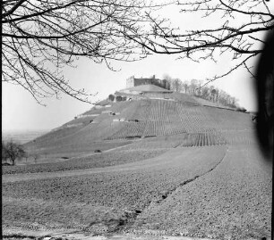 Staufen: Staufener Burg von Osten