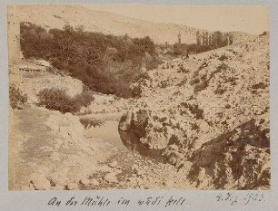 An der Mühle im wadi kelt. 4. Dez. 1903.