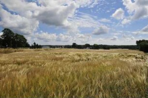 Aakirkeby - Kornfeld : Eine Landschaft bei Aakirkeby, aufgenommen am 26. Juli 2010