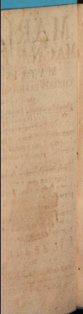 Mariae Magnae Dei Matris Celebres Panegyristae, Qui Amoeniore stylo ejus Laudes vulgarunt : In unum collecti fasciculum, & in novella Typographia Labacensi reimpressi ; Anno Salutis M.DC.LXXIX