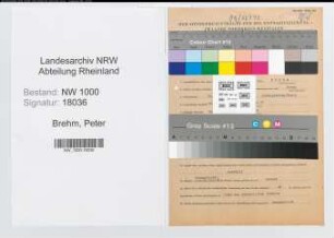 Entnazifizierung Peter Brehm, geb. 19.04.1909 (Kaufmann)