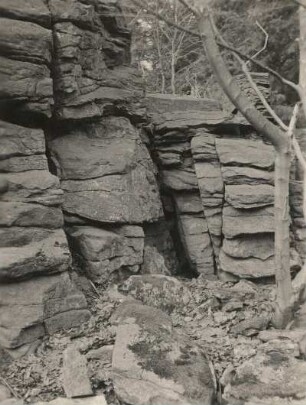 Hochstein bei Löbau : Hochstein. Mittlere Gipfelklippengruppe mit feingegliedertem Zweiglimmergranit mit Grauwackeneinschluß