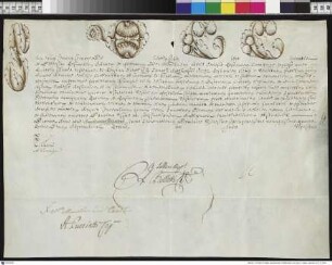 Aussteller: Pius VI. Empfänger: Klerus von Posen. Betreff: Erhebung des Ignacy Antoni Raczynski zum Bischof von Posen (kleine Ausfertigung).