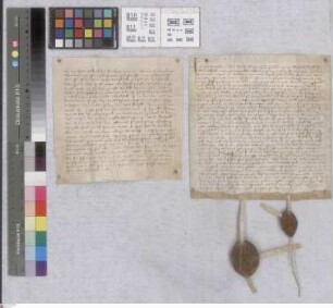 Mosbach: Testamentum Adelheidis Ketzelbuchen quo legat fratribus domus hospitalis in Mosbach unum librum hallarum annui census