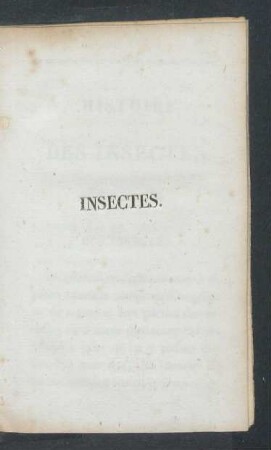 Des insectes.