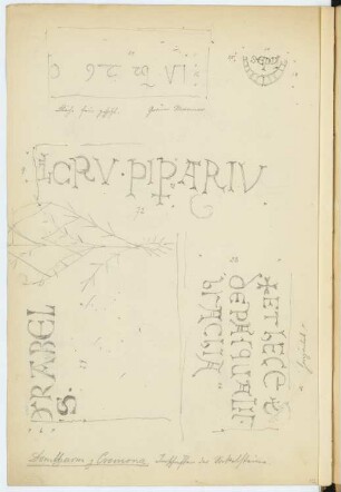 Dom Santa Maria Assunta, Cremona: Details (aus: Skizzen- und Fotoalbum 4)