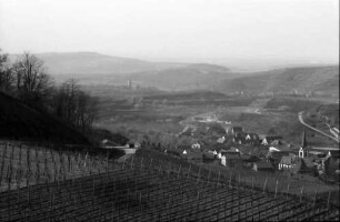 Bickensohl: Umgelegte Weinberge mit Blick auf Bickensohl