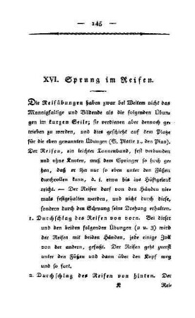 XVI. Sprung im Reifen