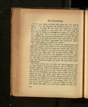 Der Zaunkönig