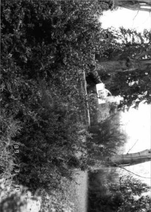 Grabstein 73 (Index: 100093955) Maße HxBxT: 143x196x21 cm Besonderheit: Doppelgrab für Eheleute: Grabstein 73