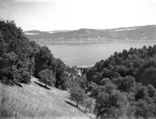 Teilansicht des Bodensees bei Bodman