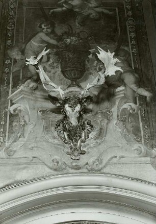 Geweihe: 66-Ender von vorn (1696 in der Nähe von Frankfurt a.O. von Kurfürsten von Brandenburg geschossen). Moritzburg/Barockmuseum (ehem. Jagdschloß). Monströsensaal