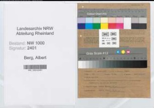 Entnazifizierung Albert Van Den Berg, geb. 02.04.1887 (Kaufmann)