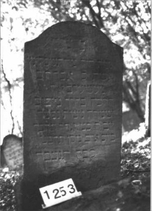 Grabstein 1253 (Index: 99900064) Material: Sandstein Zustand: stellenweise verwittert Maße HxBxT: 102x60x9 cm Beschreibung: Stele mit Konvexbogenabschluss: Grabstein 1253