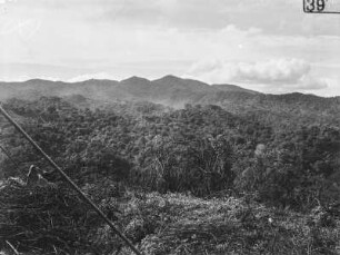Landschaft : Blick von einer Anhöhe in das bewaldete Tal und auf die bergige Umgebung