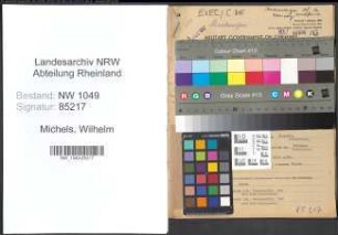 Entnazifizierung Wilhelm Michels , geb. 04.01.1897 (Vertreter)