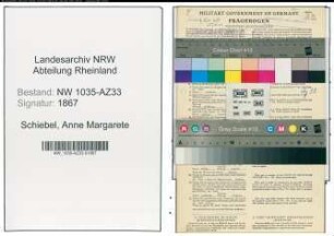 Entnazifizierung Anne Margarete Schiebel , geb. 28.03.1908 (Kaufmaennische Angestellte)