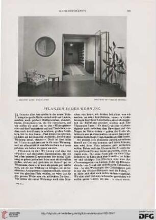 Pflanzen in der Wohnung