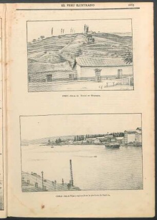 [Vista de] Chile - Isla de Tejas y esplanada en la provincia de Valdivia.
