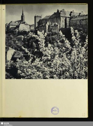 43 Blick auf Ortenburg und Petridom