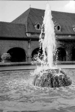 Bad Nauheim: Quellsprudel