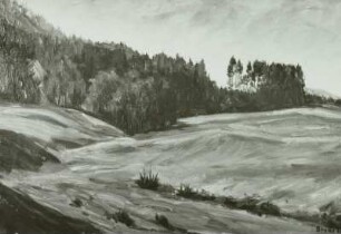 Fränkische Landschaft