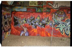 unleserlich | ? DPE! | PHUNKY | 2001 | unleserlich | RAVE NATiON | Für Doris. | White cat...