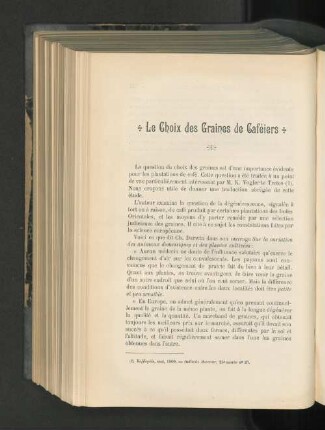 Le Choix des Graines des Gaféiers.