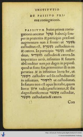 De Passivo Primæ coniugationis.