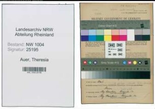Entnazifizierung Theresia Auer , geb. 15.10.1911 (Hausgehilfin)