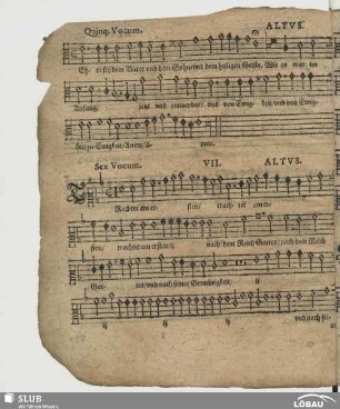 VII. Trachtet am ersten
