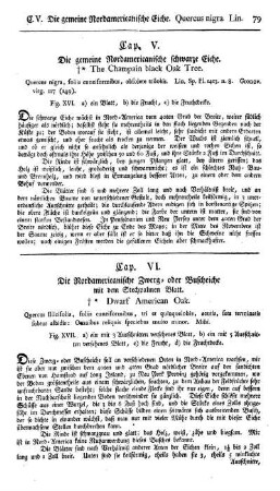 Cap. V. Die gemeine Nordamericanisch schwarze Eiche. Quercus nigra. Lin.